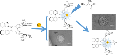 Graphical abstract: Self-assembled nanovesicles based on chiral bis-H8-BINOL for Fe3+ recognition and secondary recognition of l-cysteine by 1 + 1 complex