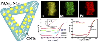 Graphical abstract: Component-controlled synthesis of PdxSny nanocrystals on carbon nanotubes as advanced electrocatalysts for oxygen reduction reaction
