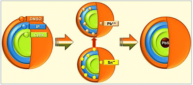 Graphical abstract: Pioneering method for the synthesis of lead sulfide (PbS) nanoparticles using a surfactant-free microemulsion scheme