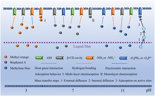 Graphical abstract: Adsorption of cationic/anionic dyes and endocrine disruptors by yeast/cyclodextrin polymer composites