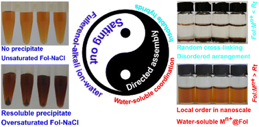 Graphical abstract: Directed assembly of fullerenols via electrostatic and coordination interactions to fabricate diverse and water-soluble metal cation–fullerene nanocluster complexes