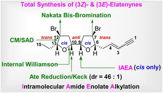 Graphical abstract: Stereoselective total synthesis of (3Z)- and (3E)-elatenynes