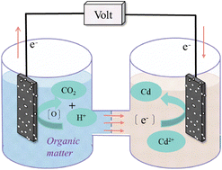 Graphical abstract: Performance and mechanism of a bioelectrochemical system for reduction of heavy metal cadmium ions