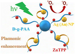 Graphical abstract: Anti-cancer activity of zinc-tetraphenylporphyrin photosensitizer/dextran-graft-polyacrylamide copolymer/Au(Ag) nanoparticle nanohybrids
