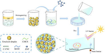 Graphical abstract: Effects of oregano essential oil Pickering emulsion and ZnO nanoparticles on the properties and antibacterial activity of konjac glucomannan/carboxymethyl chitosan nanocomposite films