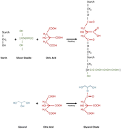 Graphical abstract: Evaluation of physicochemical properties of citric acid crosslinked starch elastomers reinforced with silicon dioxide