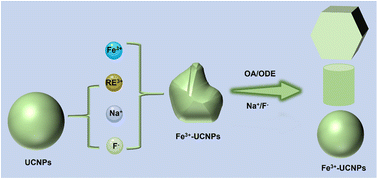 Graphical abstract: Morphology controlled synthesis of Fe3+-doped upconversion nanomaterials