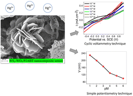 Graphical abstract: Simple potentiometry and cyclic voltammetry techniques for sensing Hg2+ ions in water using a promising flower-shaped WS2-WO3/poly-2-aminobenzene-1-thiol nanocomposite thin film electrode