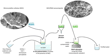 Graphical abstract: Adsorption of hexavalent chromium from wastewater using polyaniline-coated microcrystalline cellulose nanocomposites