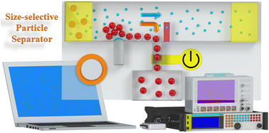 Graphical abstract: Enhanced particle separation through ultrasonically-induced microbubble streaming for automated size-selective particle depletion