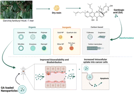 Graphical abstract: Emerging tendencies for the nano-delivery of gambogic acid: a promising approach in oncotherapy