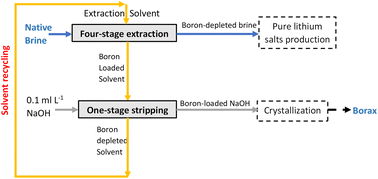Graphical abstract: Liquid–liquid extraction of boron from continental brines by 2-butyl-1-octanol diluted in kerosene