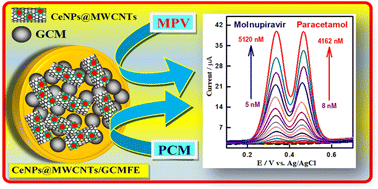 Graphical abstract: Surface engineering of carbon microspheres with nanoceria wrapped on MWCNTs: a dual electrocatalyst for simultaneous monitoring of molnupiravir and paracetamol