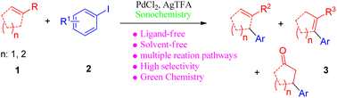 Graphical abstract: Ligand-free Pd-catalyzed highly selective arylation of activated and unactivated alkenes via oxidative and reductive heck coupling