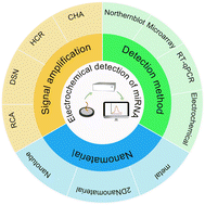 Graphical abstract: Nanomaterials promote the fast development of electrochemical MiRNA biosensors