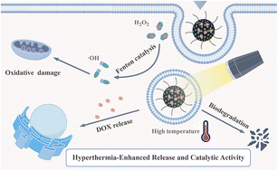 Graphical abstract: Hetastarch-stabilized polypyrrole with hyperthermia-enhanced release and catalytic activity for synergistic antitumor therapy