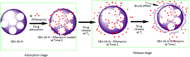 Graphical abstract: Rifampicin adsorption and release study using Santa Barbara amorphous-16 modified Al (SBA-16-Al) for a drug delivery system