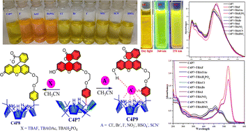 Graphical abstract: Evaluation of naked-eye sensing and anion binding studies in meso-fluorescein substituted one-walled calix[4]pyrrole (C4P)