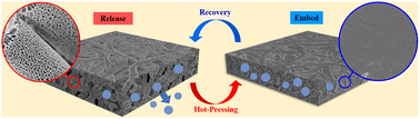 Graphical abstract: Switchable surface and loading/release of target molecules in hierarchically porous PLA nonwovens based on shape memory effect