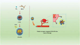 Graphical abstract: Folate conjugated albumin as a targeted nanocarrier for the delivery of fisetin: in silico and in vitro biological studies