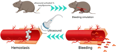 Graphical abstract: Sono-responsive smart nanoliposomes for precise and rapid hemostasis application