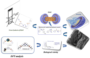 Graphical abstract: Designing a green poly(β-amino ester) for the delivery of nicotinamide drugs with biological activities and conducting a DFT investigation