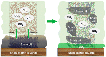 Graphical abstract: Molecular dynamics simulation on the displacement behaviour of crude oil by CO2/CH4 mixtures on a silica surface