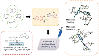 Graphical abstract: Synthesis, biological activities, and evaluation molecular docking-dynamics studies of new phenylisoxazole quinoxalin-2-amine hybrids as potential α-amylase and α-glucosidase inhibitors