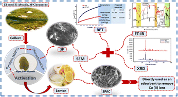 Graphical abstract: Characterization of activated carbon produced from the green algae Spirogyra used as a cost-effective adsorbent for enhanced removal of copper(ii): application in industrial wastewater treatment