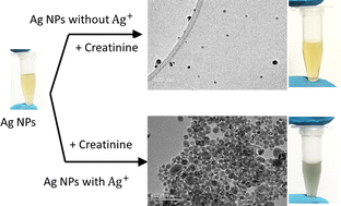 Graphical abstract: Ultrasensitive colorimetric detection of creatinine via its dual binding affinity for silver nanoparticles and silver ions