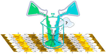 Graphical abstract: Influence of H-bond competitors on the solvent-dependent structures of an octaurea-calix[4]tube