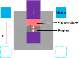 Graphical abstract: Magnetic-assisted preparation and performance control of Fe3O4/PVDF gradient magnetic composites