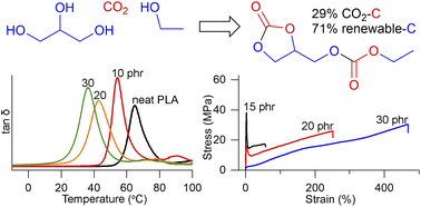 Graphical abstract: Glycerol-derived organic carbonates: environmentally friendly plasticizers for PLA