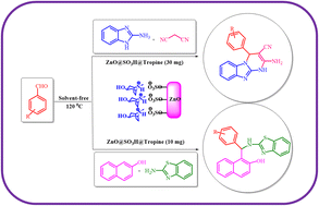 Graphical abstract: An efficient catalysis for the synthesis of pyrimido[1,2-a]benzimidazoles and 1-(benzothiazolylamino)methyl-2-naphthols using ZnO@SO3H@Tropine