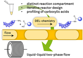 Graphical abstract: Development of a two-phase flow reaction system for DNA-encoded amide coupling