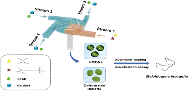 Graphical abstract: Organosilica-based deformable nanopesticides with enhanced insecticidal activity prepared by flash nanoprecipitation