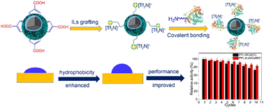 Graphical abstract: Metal–organic framework-supported ionic liquids for lipase immobilization: design, characterization, and investigation of catalytic performance