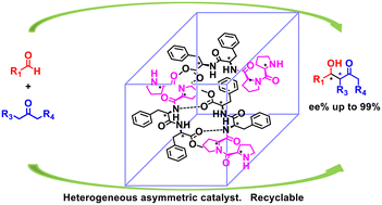 Graphical abstract: Asymmetric aldol reaction catalyzed by amino acid tetrapeptides (l-Pro-l-Pro-l-Phe-l-Phe-OMe)