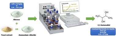 Graphical abstract: Relationship between feeding strategies and nitrogen sources in platform chemical bio-based 2,3-butanediol production in fed-batch fermentation