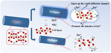 Graphical abstract: Enhanced electrochemical performance of iron-doped (NH4)2V12O27·xH2O as a cathode material for aqueous zinc-ion batteries