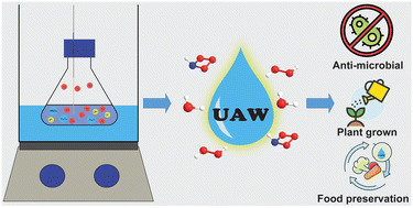 Graphical abstract: Optimizing dissolved gas composition in a double-bath-type sonoreactor for efficient production of ultrasonic-activated water with stable oxygen and nitrogen reactive species