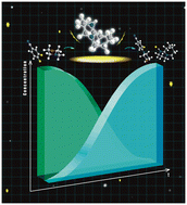 Graphical abstract: Mechanistic insights into amination via nucleophilic aromatic substitution