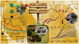 Graphical abstract: Dual catalytic activity of hexagonal Mg–Sr codoped ZnO nanocrystals for the degradation of an industrial levafix olive reactive dye under sunlight and biosensing applications