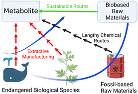 Graphical abstract: Route selection and reaction engineering for sustainable metabolite synthesis