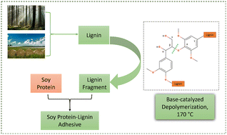 Graphical abstract: Lignin oligomers from mild base-catalyzed depolymerization for potential application in aqueous soy adhesive as phenolic blends