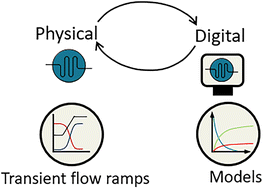 Graphical abstract: Accelerating reaction modeling using dynamic flow experiments, part 2: development of a digital twin