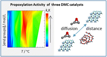 Graphical abstract: Analysis of propoxylation with zinc–cobalt double metal cyanide catalysts with different active surfaces and particle sizes