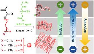 Graphical abstract: PEGMAs with short and long side chains: what is the effect in the formation of stars and brushes by RAFT polymerization?