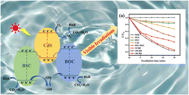 Graphical abstract: Synthesis of double Z-scheme CdS/Bi2O2CO3/BiOCl heterojunction photocatalysts for degradation of rhodamine B under visible light