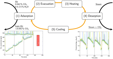 Graphical abstract: Experimental study of CO2 capture from air via steam-assisted temperature-vacuum swing adsorption with a compact kg-scale pilot unit